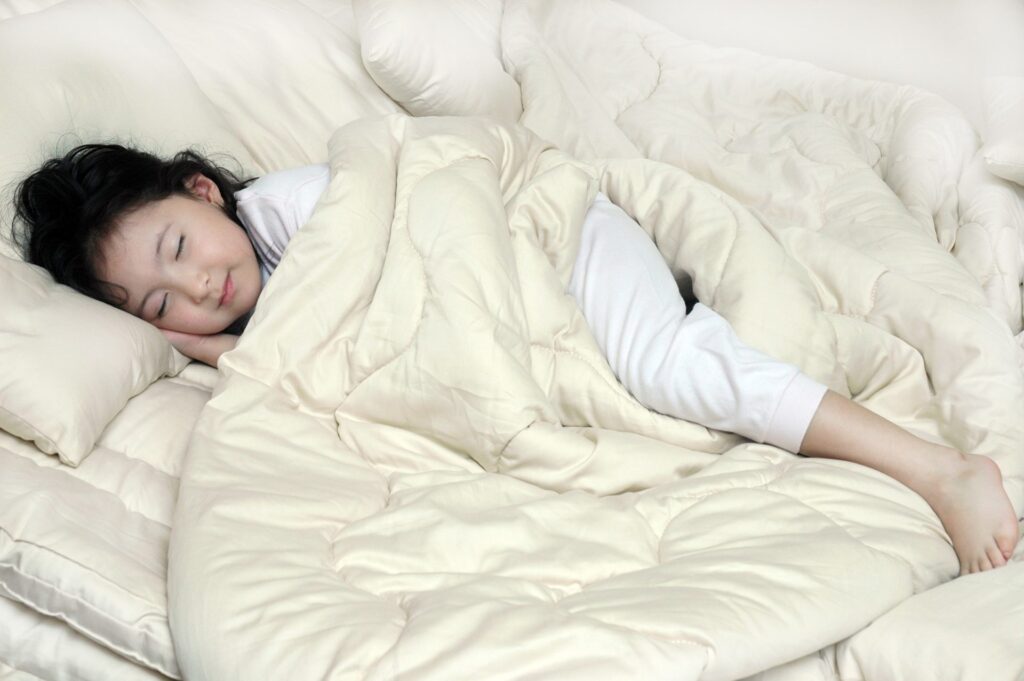Sleep Beyond My Merino Comforter