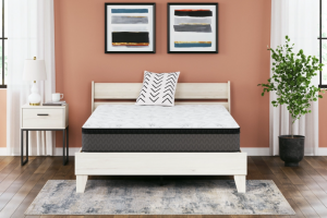 Ashley Sleep Essentials 12 Inch Medium Hybrid Queen Mattress