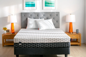 Leesa Memory Foam Mattress