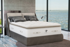 The Organic Bliss Pillowtop