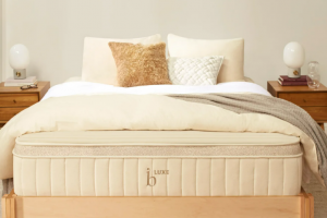 Birch Luxe Natural Mattress