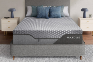 MOLECULE ENGAGE 12″