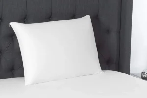 Kotter Home Natural Foam Latex Pillow - Set of 2 - White
