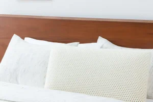 Linenspa Essentials™ Talalay Latex Pillow Queen