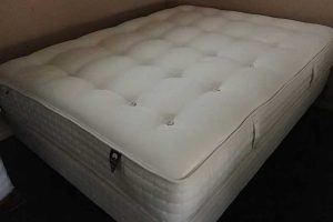 Natural Evolution Mattress