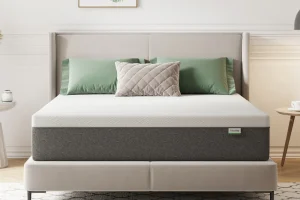 Novilla 12-inch Medium Gel Memory Foam Mattress In a Box