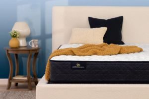 Serta Perfect Sleeper Mattress