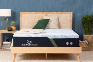 Serta iComfortECO Memory Foam Firm Mattress