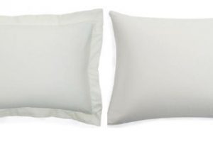 Sleep Beyond Organic Pillow Case Pair